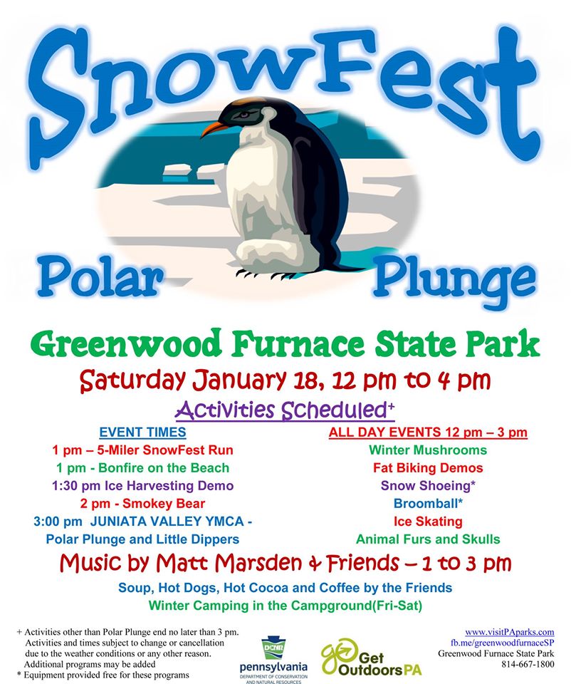 snowfest flyer snowfest flyer