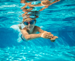 Aquatics Aquatics